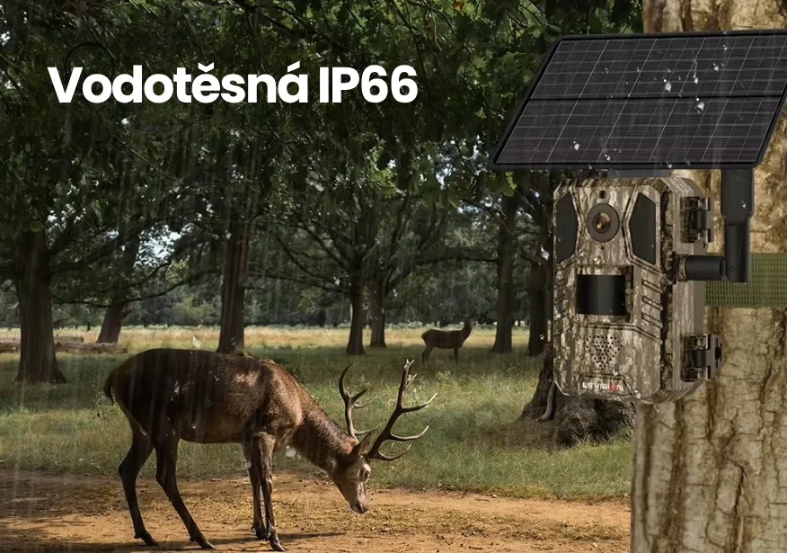 Fotopast Smartip 4G se solárem | Noční vidění, 4MP, mobilní aplikace